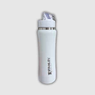 BOTELLA STANLEY 600 cm3